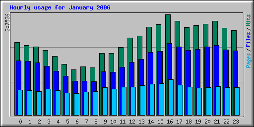 Hourly usage for January 2006