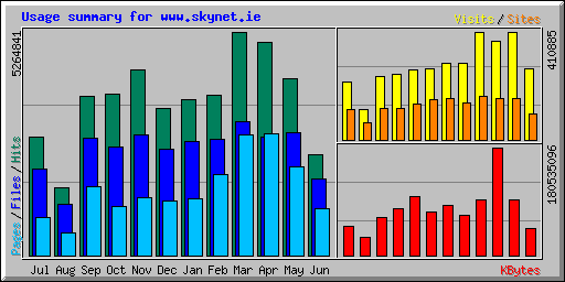 Usage summary for www.skynet.ie